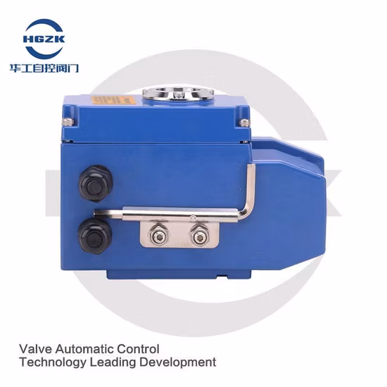 Explosion-Proof High Temperature Flange Tubular Immersion Circulation Process Inline Heater with Control Panel